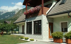 Isonzo Apartment